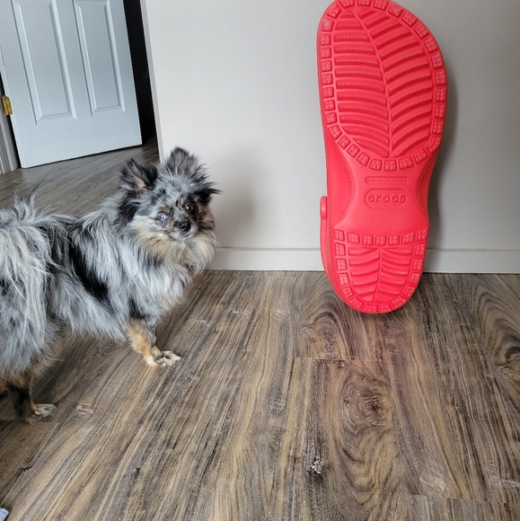 Crocs display - Picture 3 of 4